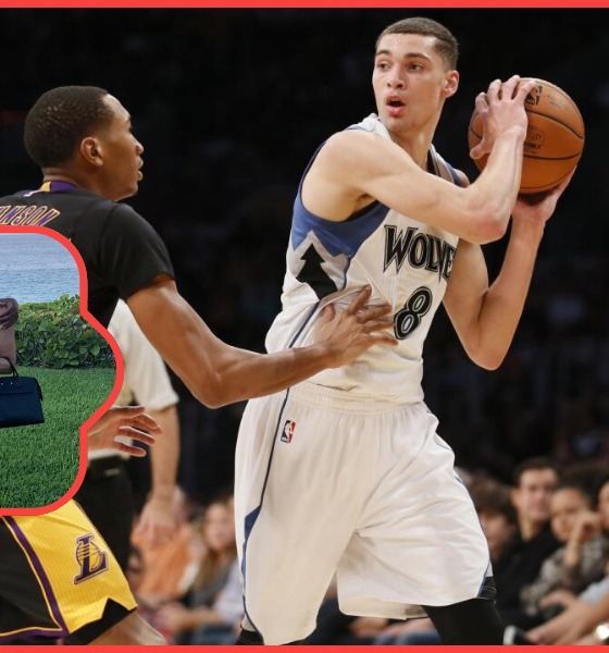 johnson-lavine